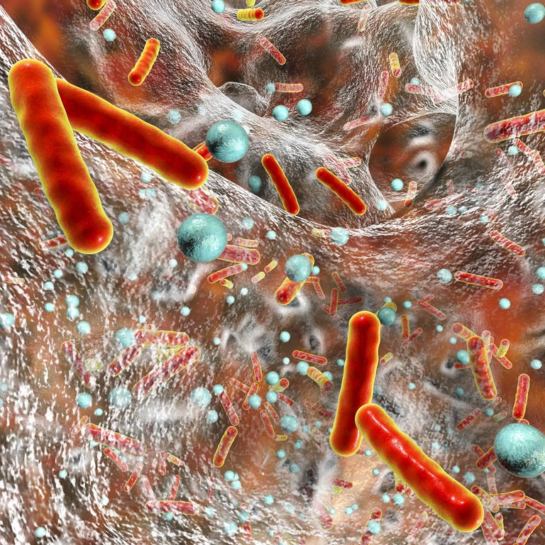 Illustration einer Bakterienkollonie, darunter längliche, legionellenförmige Bakterien, in einem Wasserstrahl. (Foto: IMAGO, IMAGO / Science Photo Library)