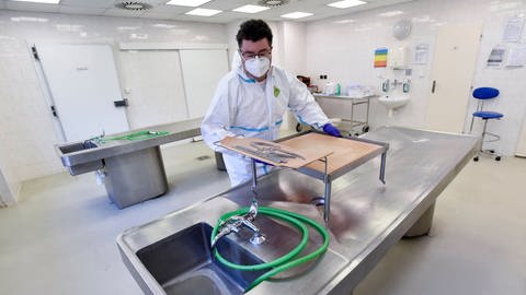 Mann in der Pathologie bereitet Material für Autopsie vor (Foto: IMAGO, /CTK Photo)