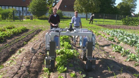Roboter könnten dabei helfen, Obst und Gemüse nachhaltiger anzubauen. (Foto: SWR, SWR/Pascal Kiss)