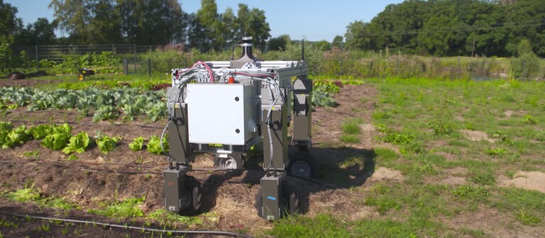 Roboter in der Landwirtschaft (Foto: SWR, SWR/Pascal Kiss)