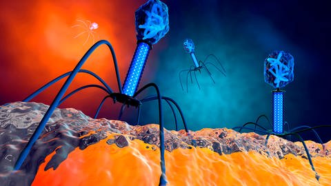 Bacteriophages could be a new approach in treating bacterial infections.  (Photo: IMAGO, IMAGO / Westend61)