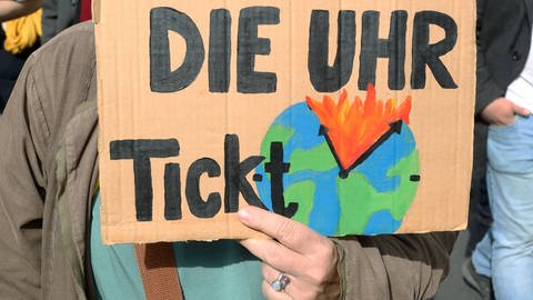 Plakat des globalen Klimastreiks (Foto: IMAGO, IMAGO / Müller-Stauffenberg)