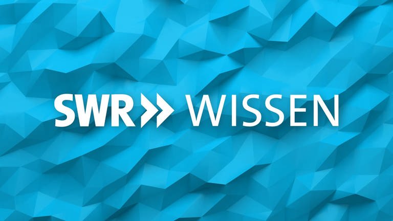 SWR Wissen Logo für die Über uns Seite  (Foto: SWR)