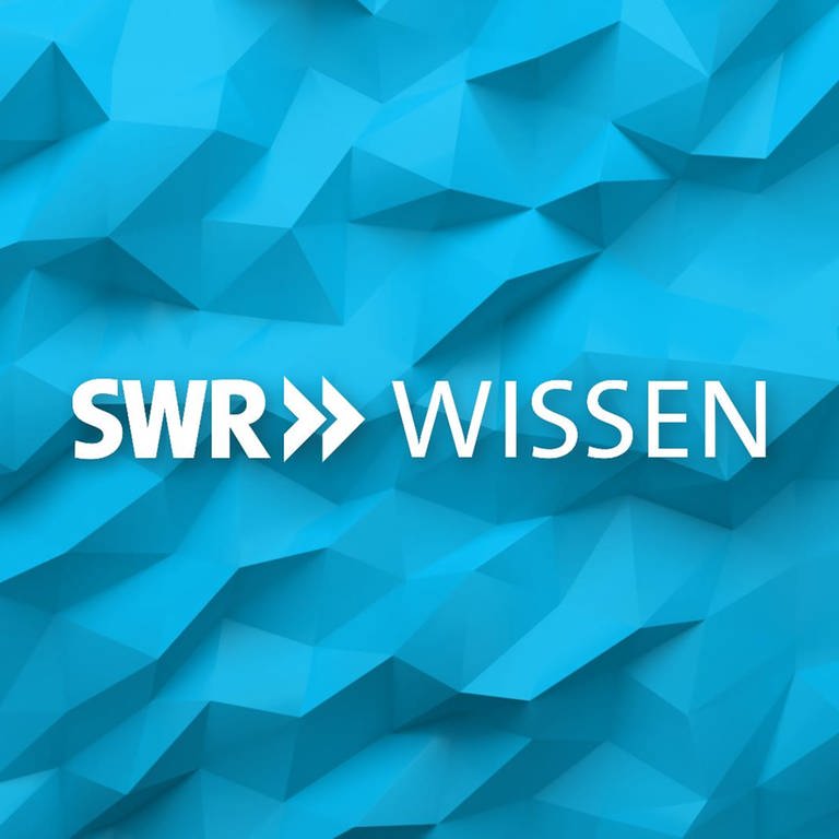 SWR Wissen Logo für die Über-Uns-Seite (Foto: SWR)