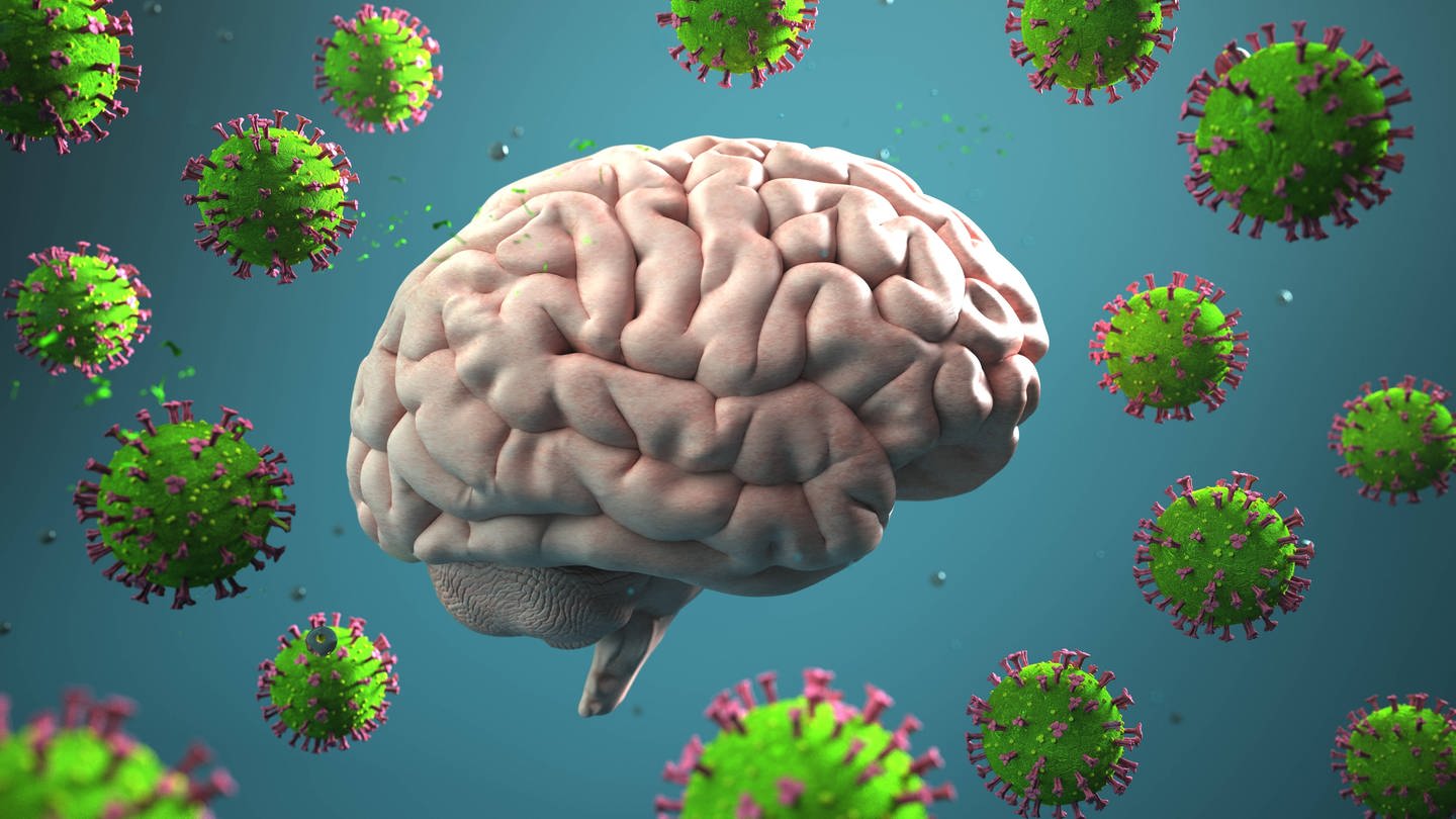Einfluss von Viren auf das Gehirn (Foto: IMAGO, IMAGO / Alexander Limbach)