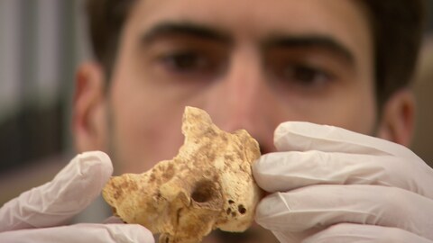 Cosimo Posth untersucht ein Knochenstück (Foto: SWR)