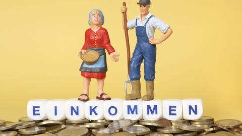 Zwei kleine Figuren, die eine Landwirtin und einen Landwirt darstellen, stehen auf Würfeln mit der Aufschrift "Einkommen". Auf dem Boden liegen viele Münzen.  (Foto: IMAGO, CHROMORANGE)