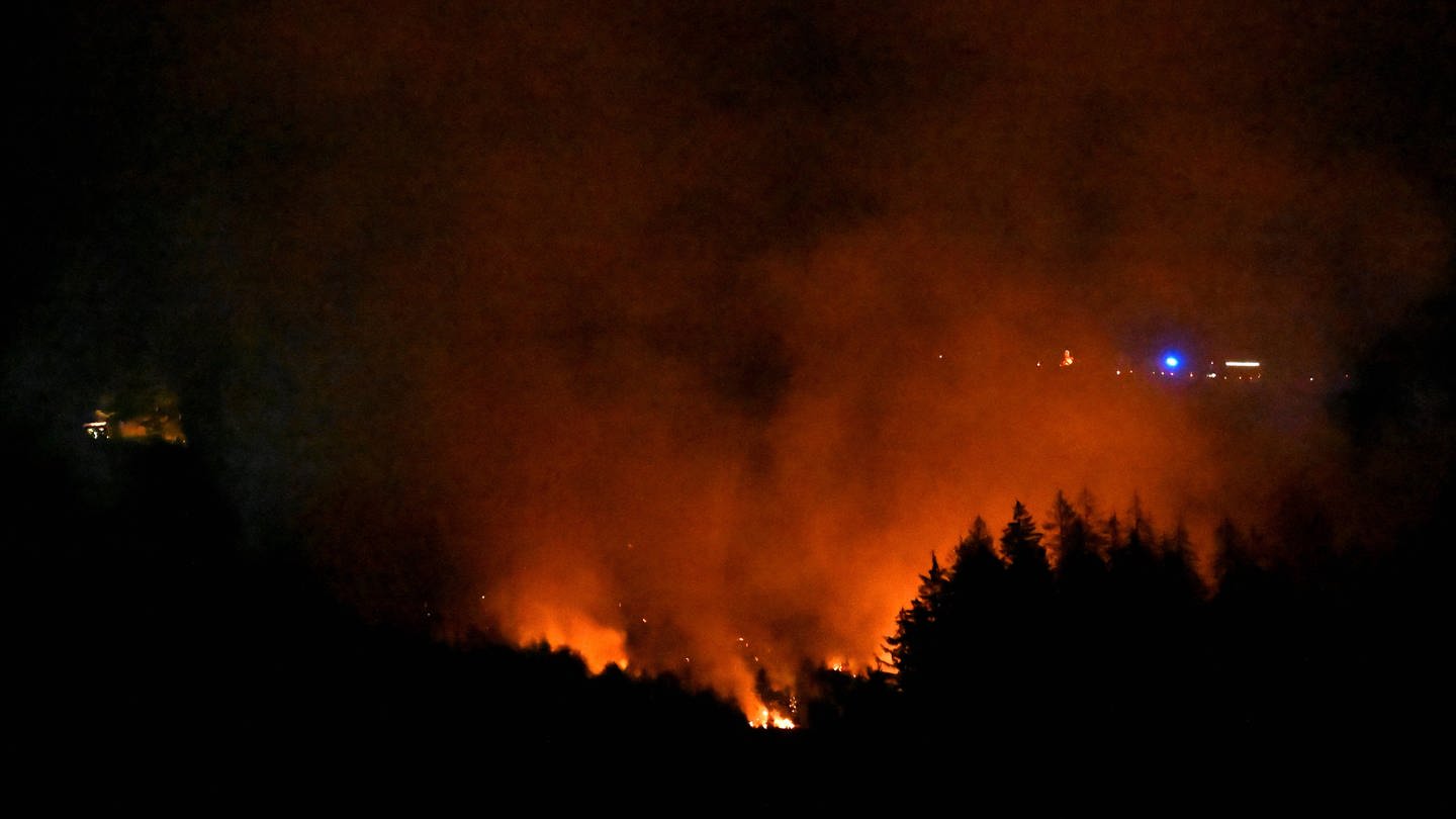 Die Gefahr von Waldbränden steigt angesichts des Klimawandels (Foto: IMAGO, imago)