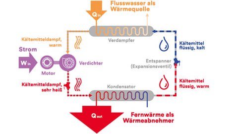 Funktionsweise einer Flusswärmepumpe (Foto: Pressestelle, MVV Energie AG)