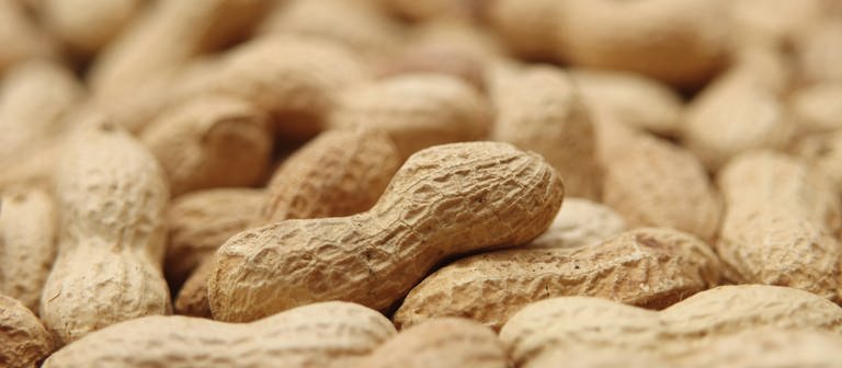 Nahaufnahme von Erdnüssen in ihrer Schale. (Foto: IMAGO, IMAGO / CHROMORANGE)
