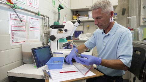 Der Biologe Ralph Schill in seinem Labor am Institut für Biomaterialien und biomolekulare Systeme in Stuttgart. (Foto: SWR)