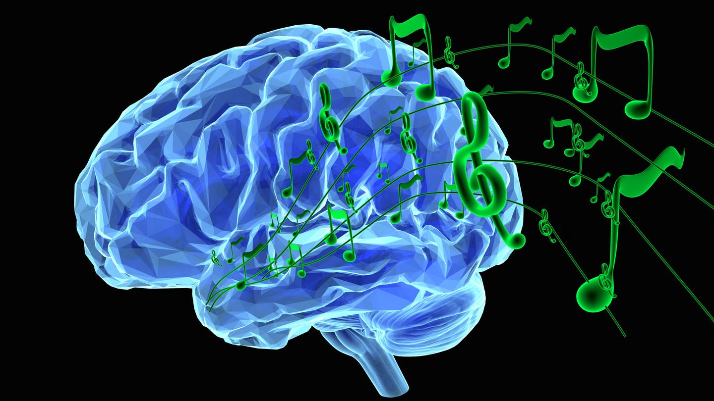 Illustration eine Gehirns und darum Musiknoten (Foto: IMAGO, agefotostock)