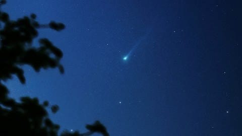 La cometa Nishimura con la coda bluastra nel cielo mattutino (Foto: Dr. Sebastian Voltmer)