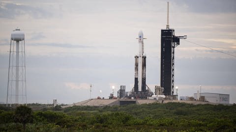 Die SpaceX Rakete mit der Psyche Sonde ist bereit für den Start. (Foto: IMAGO, IMAGO / ZUMA Wire)