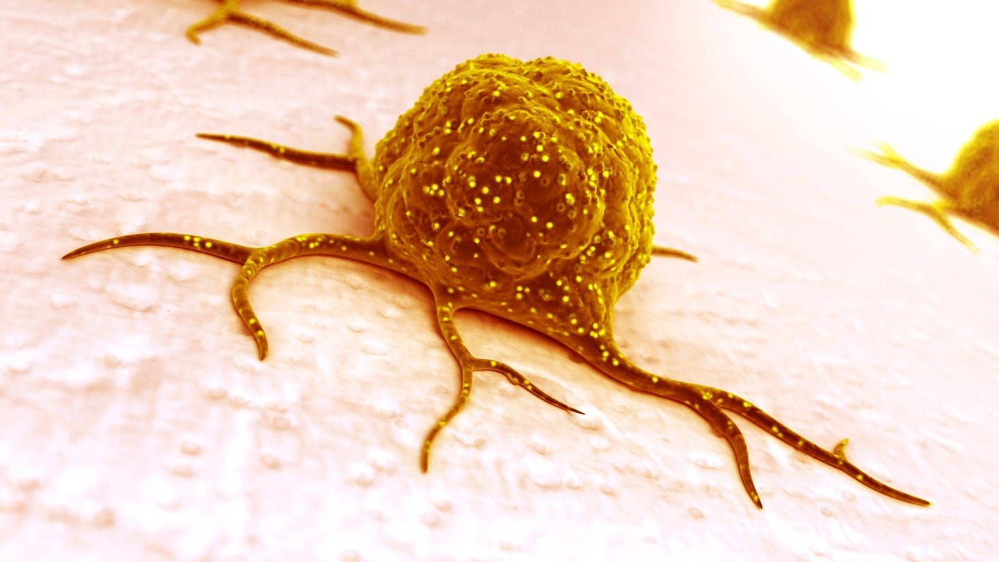 Es gibt neue, vielversprechende Ansätze im Kampf gegen Leberkrebs und Darmkrebs. Krebszelle (Illustration) (Foto: IMAGO, imago images/Panthermedia)