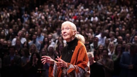 Aus der Affenforscherin wurde eine Umweltschützerin. Das Motto von Jane Goodall: "Jeder kann die Welt zu einer besseren machen."  (Foto: IMAGO, IMAGO/ANP)