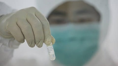 Influenzaviren sind sehr mutationsfreudig. Jetzt ist in China eine neue Variante namens G4 aufgetaucht, das von Schweinen auf Menschen übertragen werden kann. (Foto: IMAGO, imago/Xinhua)