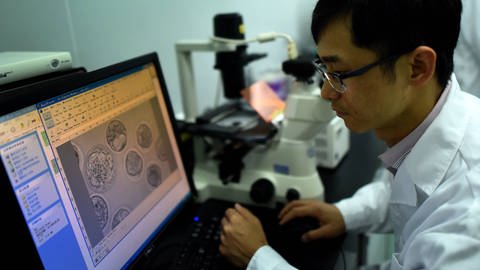 Im April 2015 veröffentlichte der chinesische Biologe Huang Junjiu den ersten Bericht eines menschlichen Embryos mit bearbeiteten Genen.