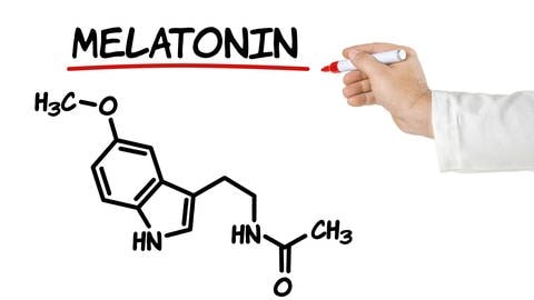 Das Hormon Melatonin wird in der Zirbeldrüse (Epiphyse) – einem Teil des Zwischenhirns – aus Serotonin produziert und steuert den Tag-Nacht-Rhythmus des menschlichen Körpers.