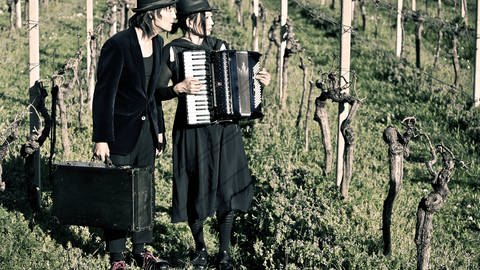 Manche Weinbauern behaupten, dass die Beschallung der Reben mit klassischer Musik das Wachstum der Reben positiv beeinflusse.