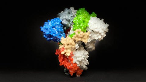 Ein dreidimensionales Modell des Covid-19 Virus steht zur Erforschung in Fort Detrick, Maryland. Hunderte von  Wissenschaftlern forschen dort an Abwehr- und Gegenmaßnahmen. (Foto: IMAGO, imago images / ZUMA Wire)