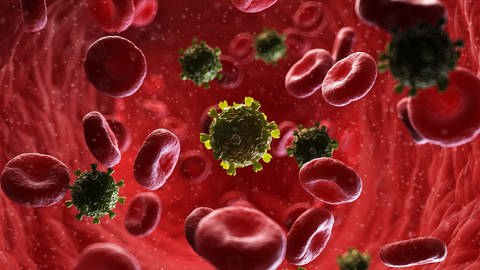 HI-Viren schlummern oft lange Zeit in Lymphknoten oder im Knochenmark und können dann irgendwann wieder aktiv werden. (Foto: IMAGO, imago images / Science Photo Library)