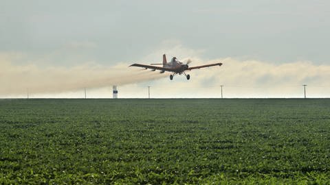 In Brasilien spritzt ein Flugzeug Pflanzenschutzmittel beim Anbau von Soja. (Foto: IMAGO, imago images / imagebroker)