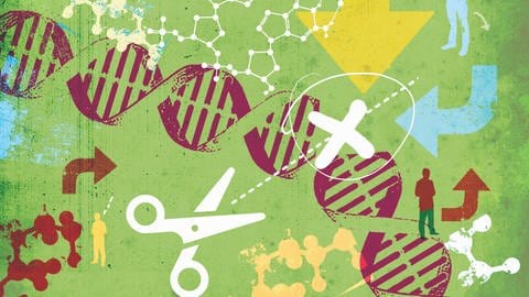 Die Genschere CRISPRCas soll dabei helfen, Erbkrankheiten zu korrigieren. (Foto: IMAGO, imago images/Ikon Images)