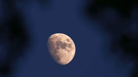 Der Ausgang der US-Wahlen entscheidet wohl auch darüber, wie es mit dem Mondflug-Projekt "Artemis" der USA weitergehen wird. (Foto: IMAGO, imago images/ZUMA Wire/ Sunil Sharma)