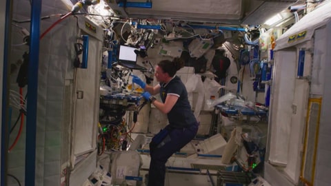Die Astronauten haben auf der ISS in den vergangenen 20 Jahren über 3000 Experimente durchgeführt. (Foto: NASA)