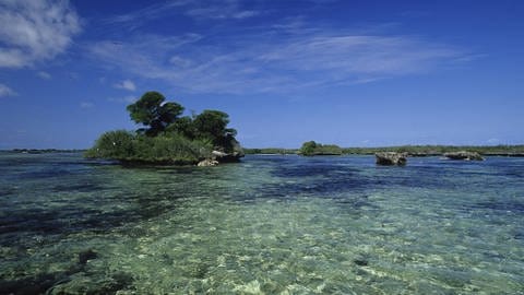 Korallenriff - Inselgruppe Aldabra Atoll (Foto: IMAGO, imago images / Nature Picture)