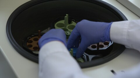 Forscher holt Blutprobe aus Gefrierfach