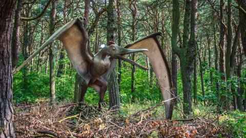 Flugsaurier am Boden (Nachbildung) (Foto: IMAGO, imago images / Shotshop)