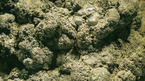 Manganknollen aus der Tiefsee des Pazifiks (Foto: IMAGO, imago images / blickwinkel)
