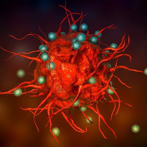 SARS-CoV-2 Viren im Kampf mit einer Immunzelle (Illustration)