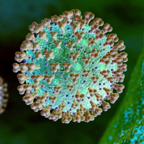 Corona-Virus, Mikroskopische Ansicht (Foto: IMAGO, imago images / MiS)