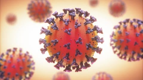 Das Coronavirus nutzt sein Spikeprotein, um an unsere Zellen anzudocken, diese zu infizieren. Andererseits kann das Immunsystem über eine Impfung darauf trainiert werden, passende Antikörper zu produzieren, die SARSCoV2-Viren in Schach halten können.  (Foto: IMAGO, imago images/Panthermedia)