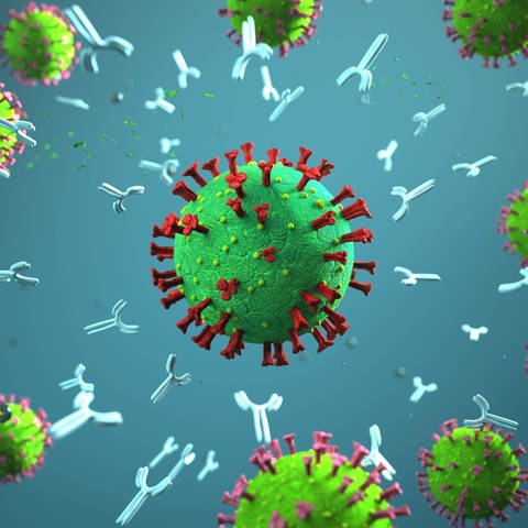 Antikörper greifen Coronavirus an  (Foto: IMAGO, imago images / Alexander Limbach)
