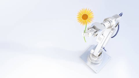 Ein Roboterarm überreicht eine Sonnenblume (Foto: IMAGO, imago/Westend61)