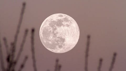 Pink Moon (Foto: IMAGO, imago images/CHROMORANGE)