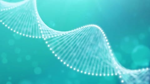 Noch größer sind die Effekte, wenn die Transposons in Teile der DNA eingebaut werden, die regulieren, wie sie benutzt wird. Wird hier etwas verändert, kann das sehr komplexe Auswirkungen haben. (Foto: IMAGO, imago images/Imaginechina-Tuchong)