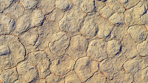 Vertrockneter Lehmboden mit Rissen. (Foto: IMAGO, IMAGO/McPHOTO)