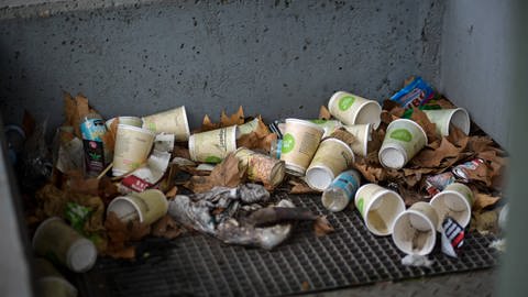Kaffeebecher in einem Luftschacht entlang des Neckartors in Stuttgart: die mit Kunststoff beschichteten Pappbecher verursachen 55.000 Tonnen Müll pro Jahr in Deutschland (Foto: IMAGO, IMAGO / Lichtgut)