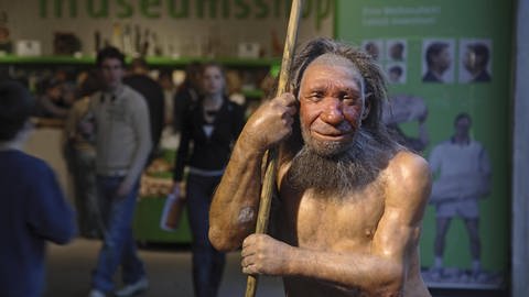 Neandertaler (Foto: IMAGO, imago/Rupert Oberhäuser)