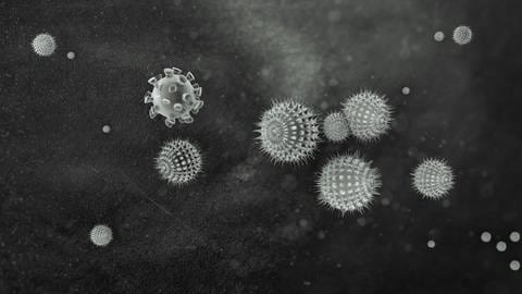 3D Grafik verschiedener Viren in schwarz-weiß.