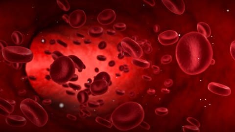 Grafik roter Blutkörperchen, die durch eine Vene strömen.