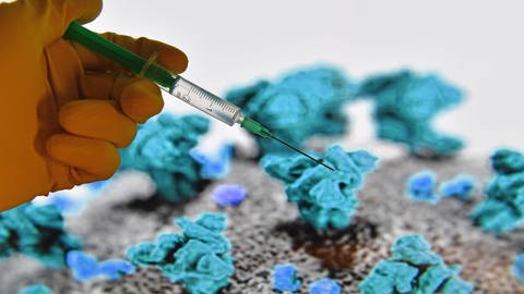 Impfstoffe gegen das neue Coronavirus gelten als eine der wichtigsten Säulen im Kampf gegen die weitere Ausbreitung der Pandemie.  (Foto: IMAGO, imago images/Sven Simon)