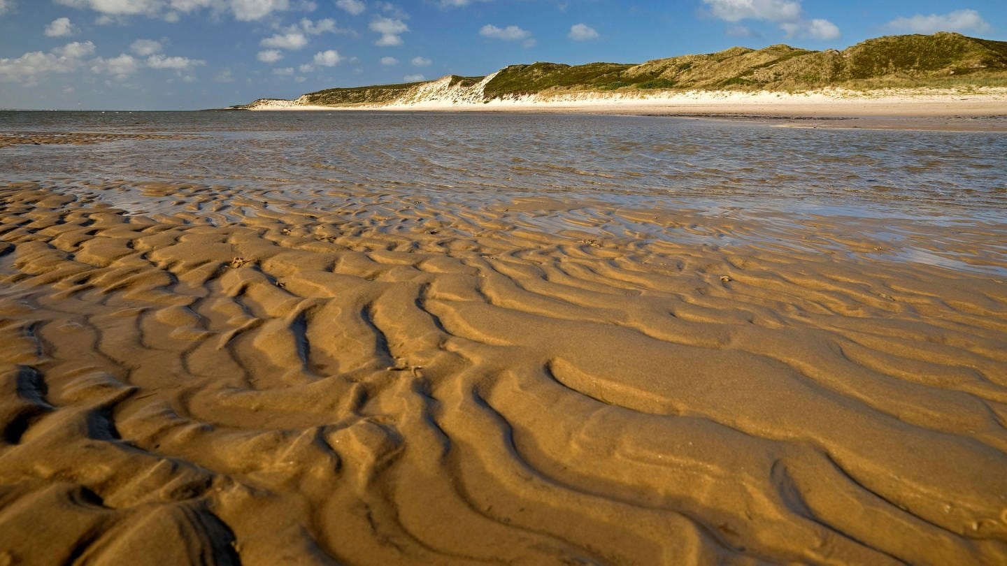 Sandstrand mit Muster: Wie entstehen am Strand die typischen Linienmuster im Sand (