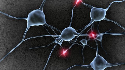 Neben Hirnzellen, die für ein Sättigungsgefühl sorgen, gibt es auch Neuronen im Gehirn, die bei Übelkeit oder Bauchweh aktiviert werden. Symbolbild: Nervenzellen, Neuronen und Synapsen im Gehirn (Foto: IMAGO, imago/imagebroker)