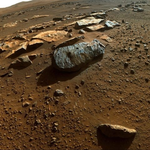 Bild von der Marsoberfläche mit Gesteinen (Foto: IMAGO, / Cover-Images)